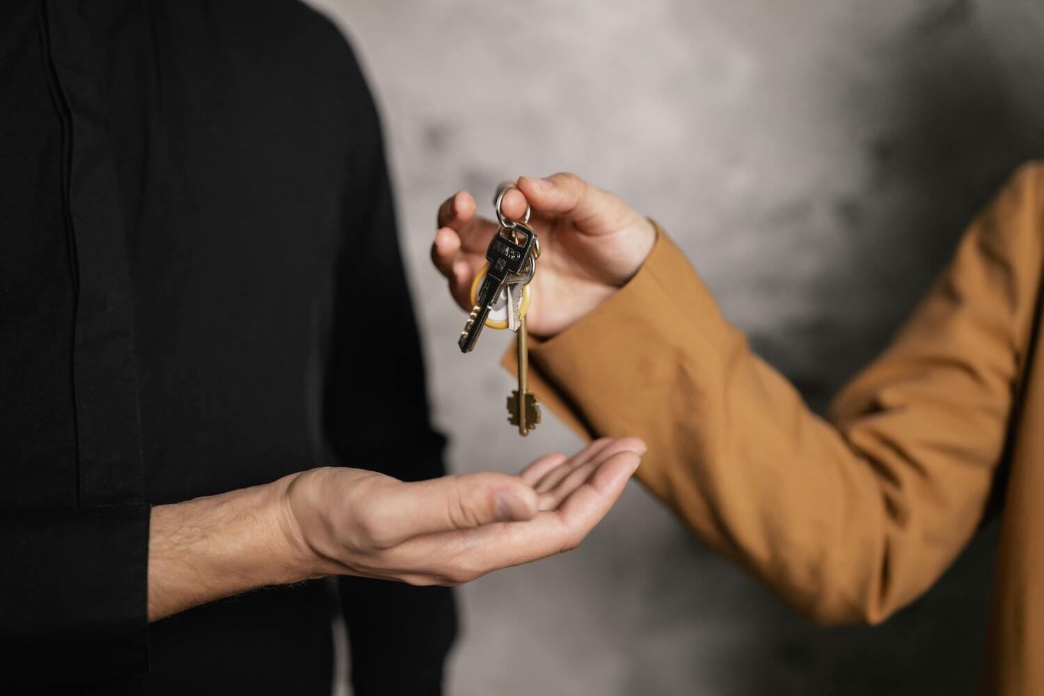 immobilier turnover
